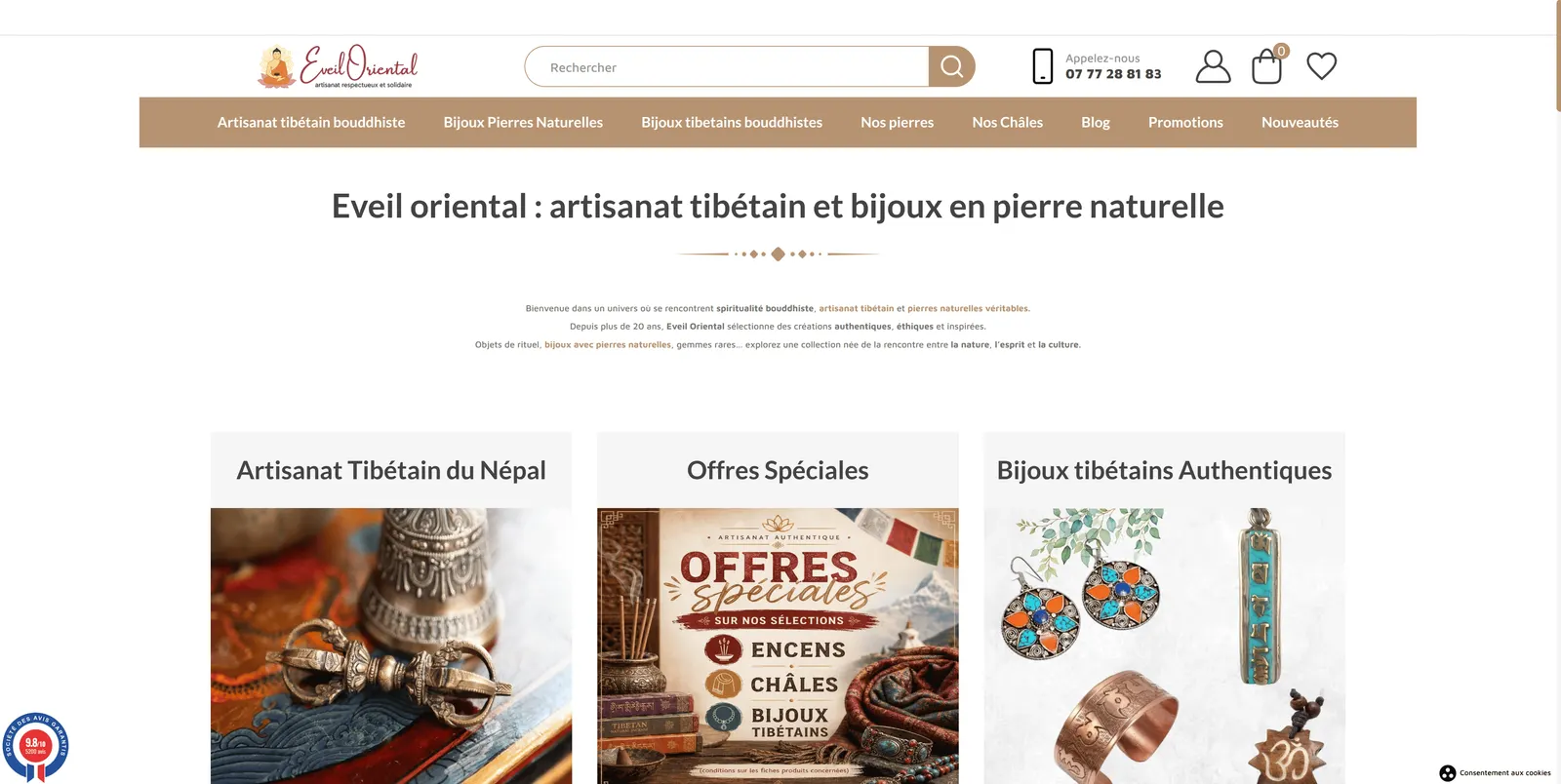 Aperçu du projet Éveil Oriental